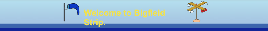 Bigfield